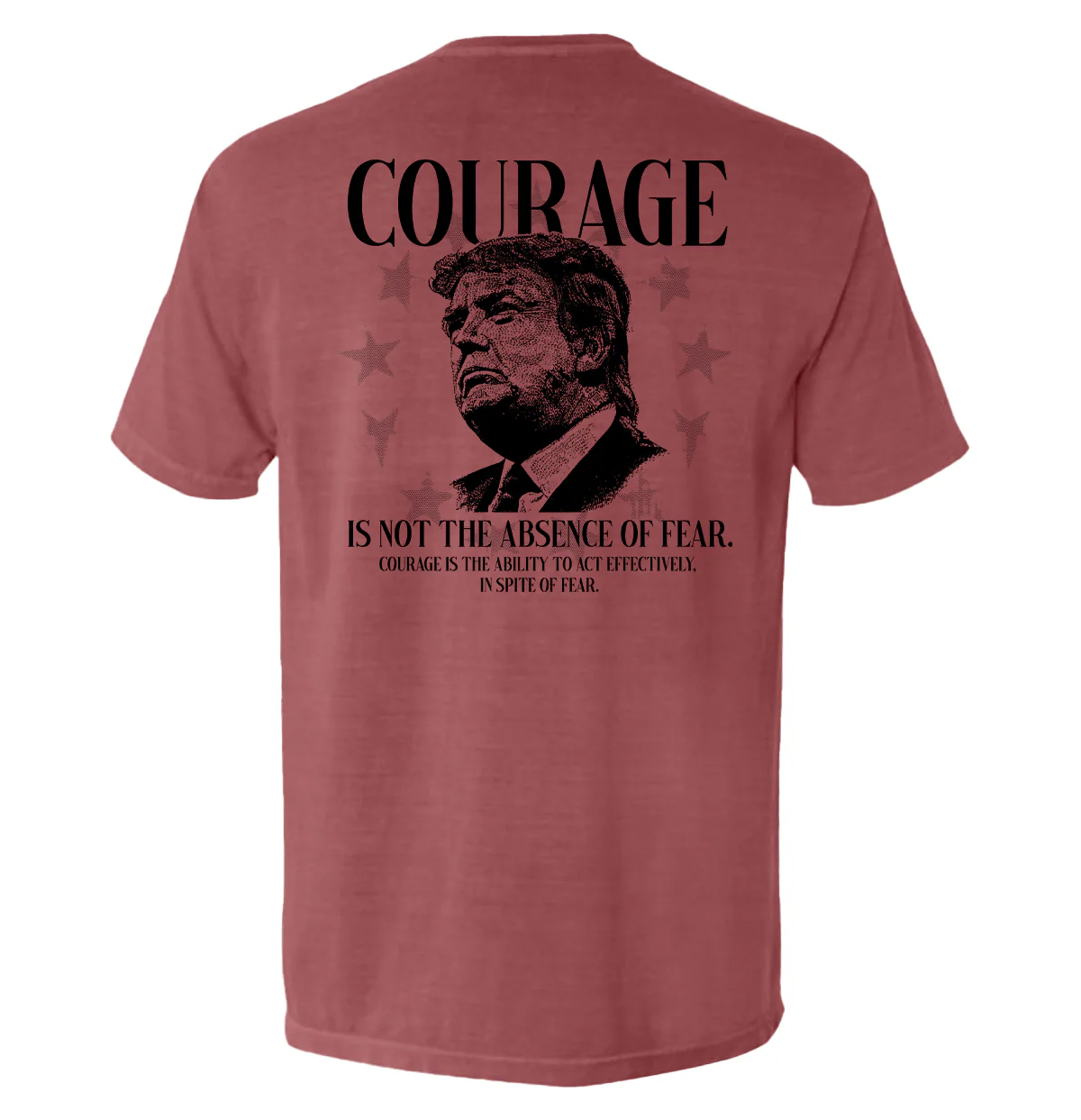 Courage Is Not The Absence of Fear - Image 5