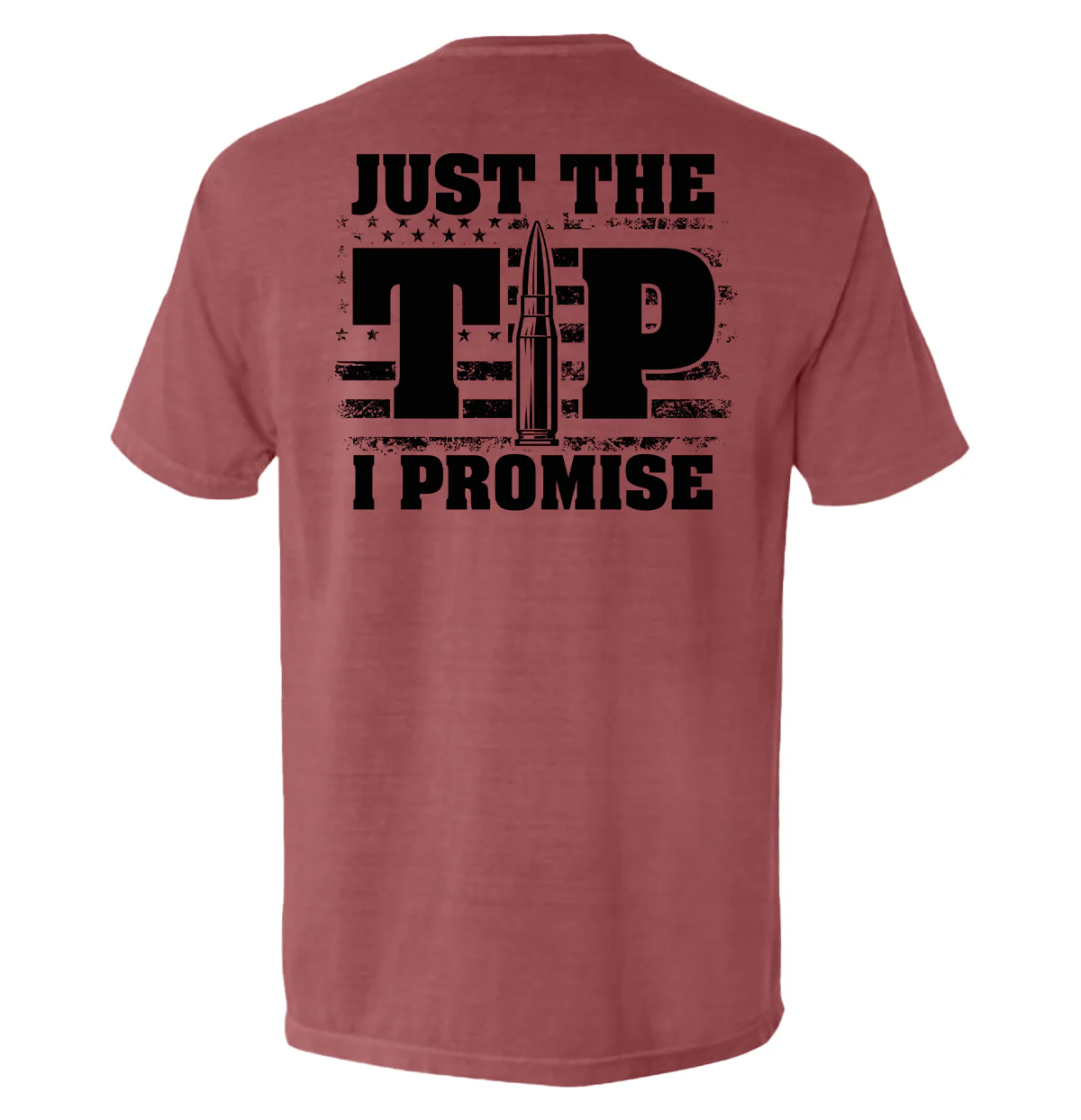 Just The Tip I Promise Flag - Image 4