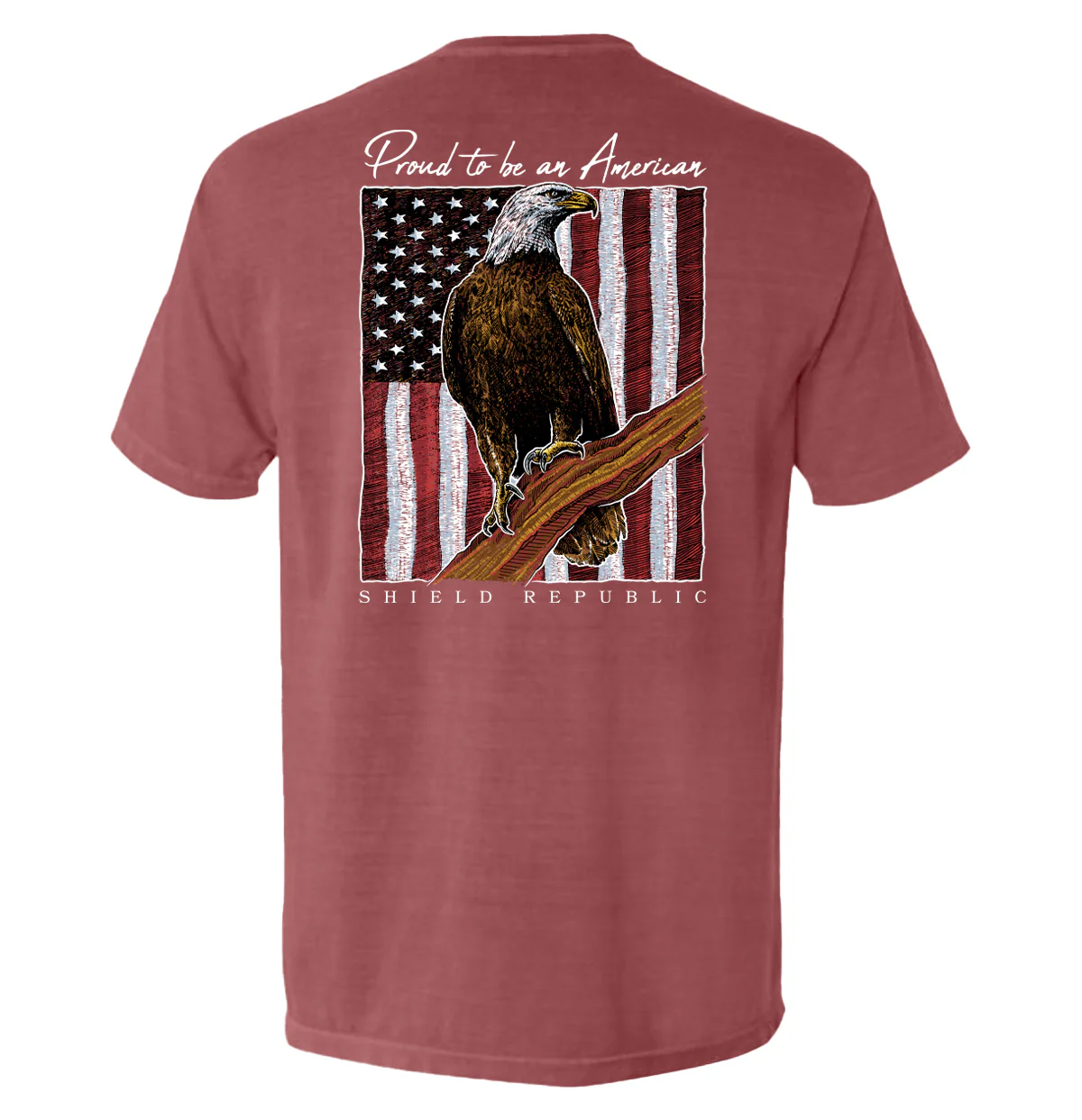 Proud to be an American Bald Eagle - Image 4