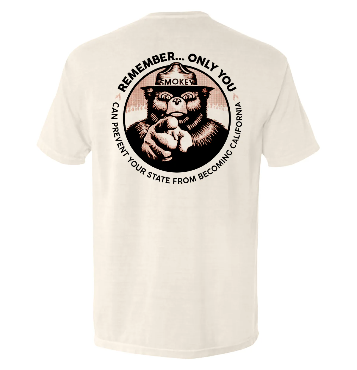 Remember Only you can prevent your state from becoming California - Image 5