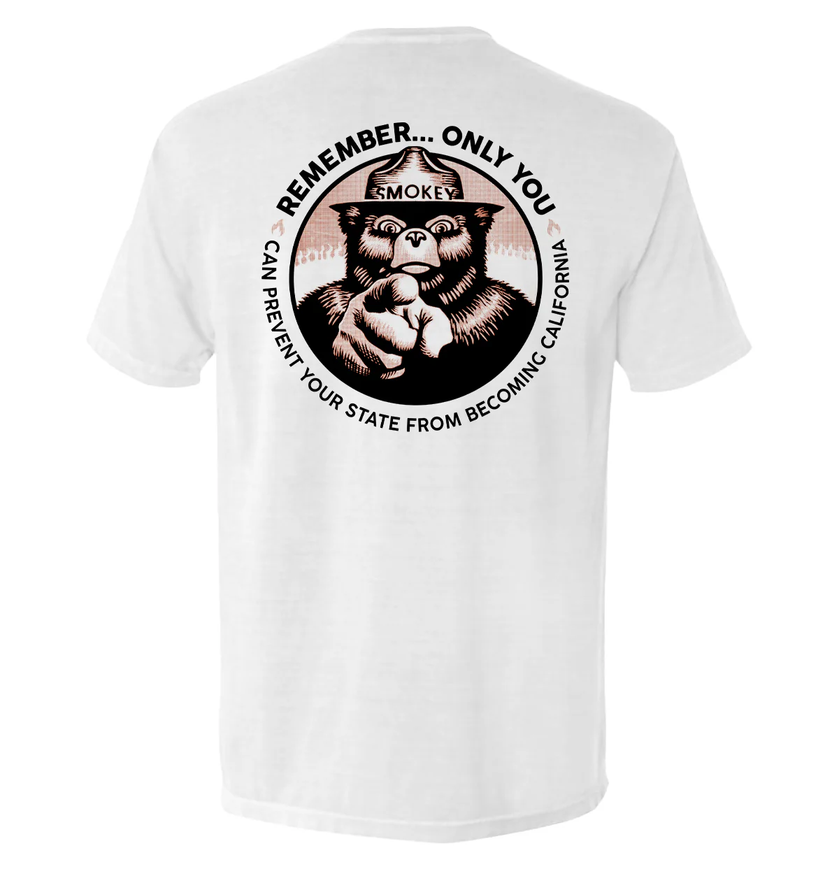 Remember Only you can prevent your state from becoming California - Image 6
