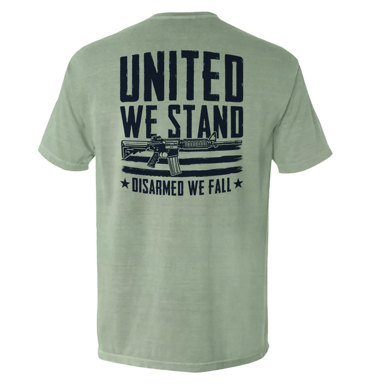 United We Stand Disarmed We Fall - Image 11