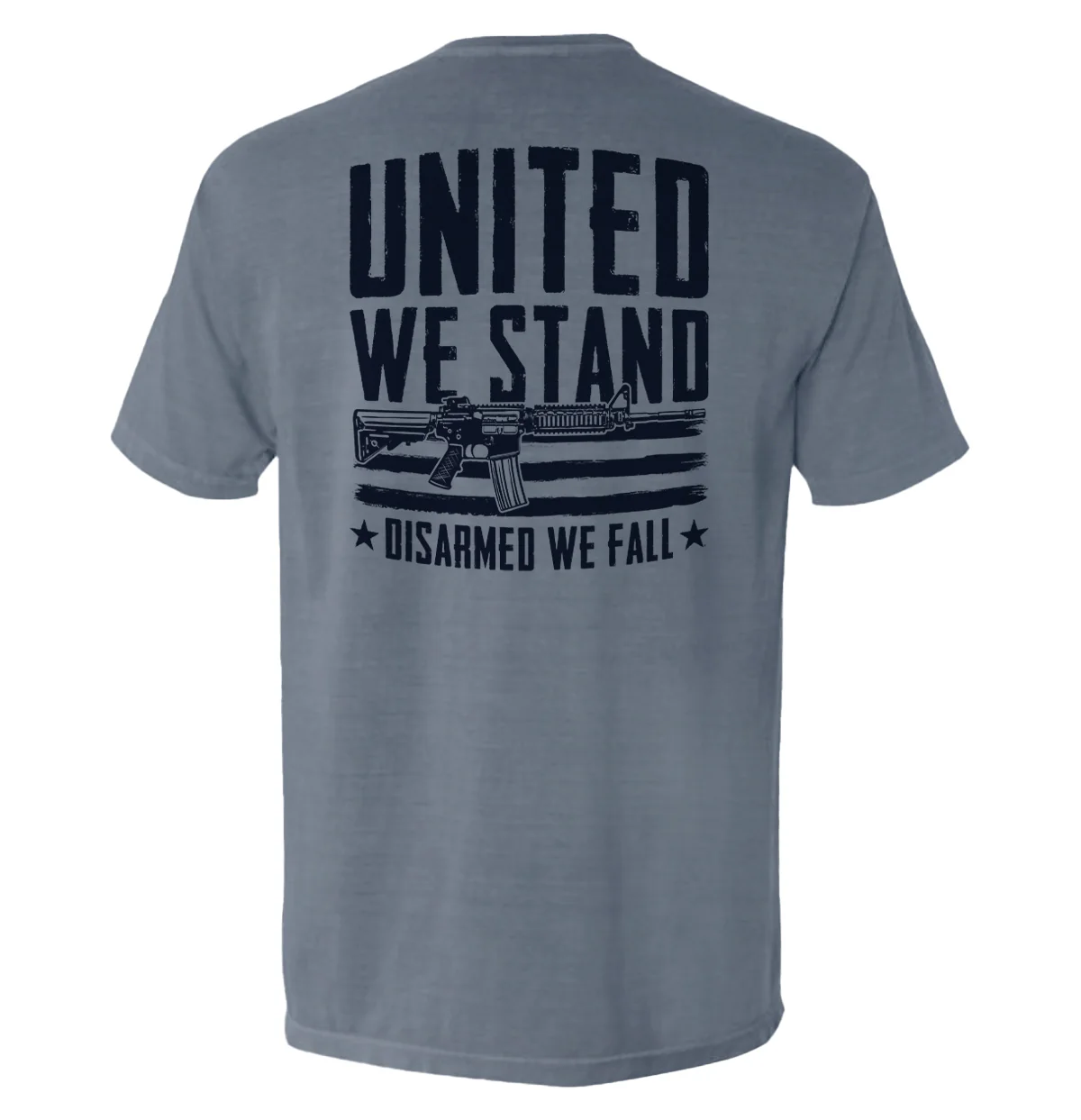 United We Stand Disarmed We Fall - Image 13
