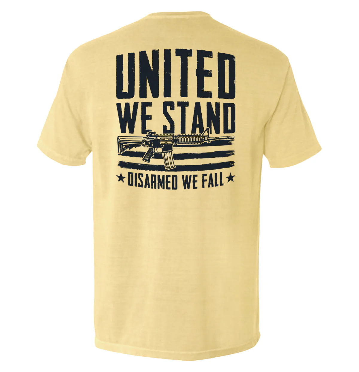 United We Stand Disarmed We Fall - Image 15