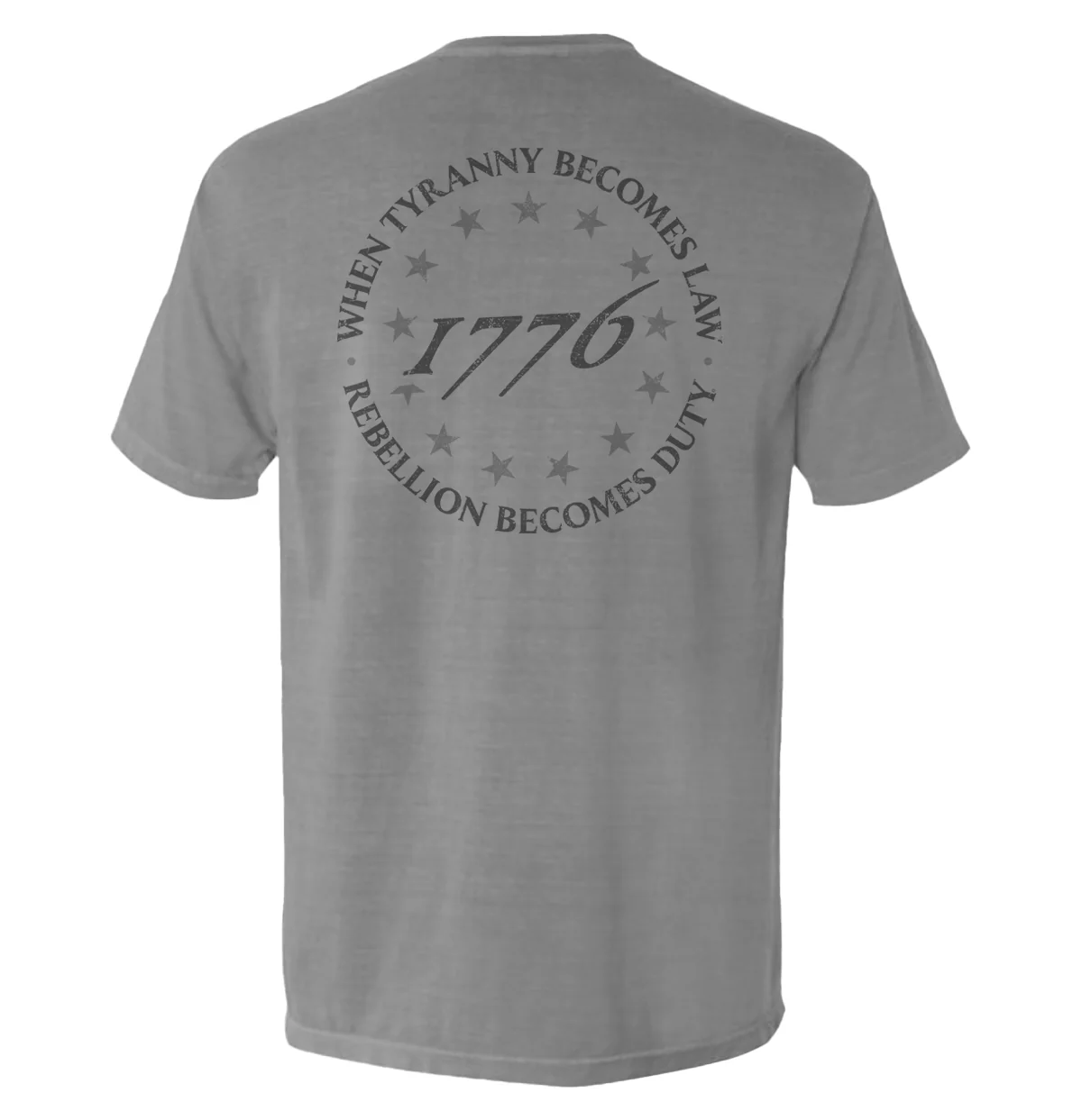When Tyranny Becomes Law 1776 - Image 11
