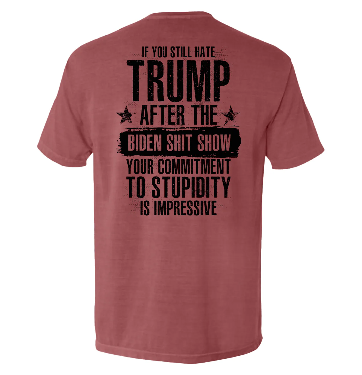 Your Commitment To Stupidity Is Impressive - Image 8