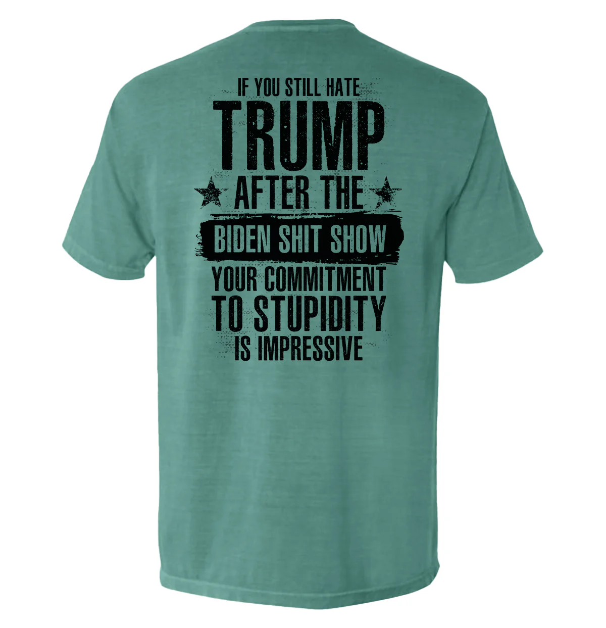 Your Commitment To Stupidity Is Impressive - Image 9